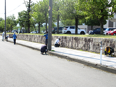 ボランティア写真